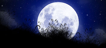 Der Schlaf und seine Tücken