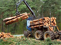 In Südtiroler Wäldern wachsen jede Stunde nahezu 100 Festmeter Holz nach - für ein Einfamilienhaus, das in der üblichen Holzbauweise errichtet wird, benötigt man ca. 70 m³ Holz. Leider werden zurzeit rund 80% des im Bausektor verwendeten Holzes importiert, während der Wald in Südtirol veraltet. Es gibt allerdings Unternehmen in Südtirol, die dies erkannt haben und bereits interessante Projekte in diesem engen Kreislauf und zeitgemäßer Architektur verwirklichen.