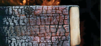 Brandschutz im Holzbau