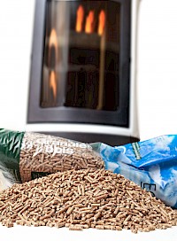 Häuser die mit automatischen Lüftungsanlagen ausgestattet sind, benötigen Kamin- und Pelletöfen die raumluftunabhängig funktionieren.