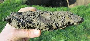 Geologe